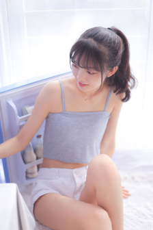 霍元甲2006